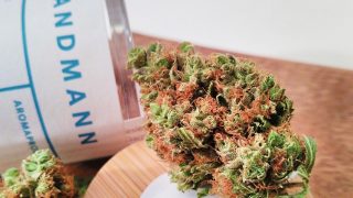 CBD-Hanfblüten-Test “Sandmann” Folge 04 CIA-TV